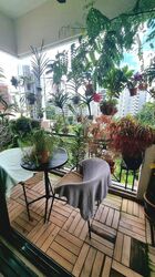 Palm Spring (D10), Condominium #629341001